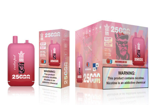 Puff 25K Bouffees Double Pods Watermelon Ice Gout Liquide Cigarette électronique Jetable