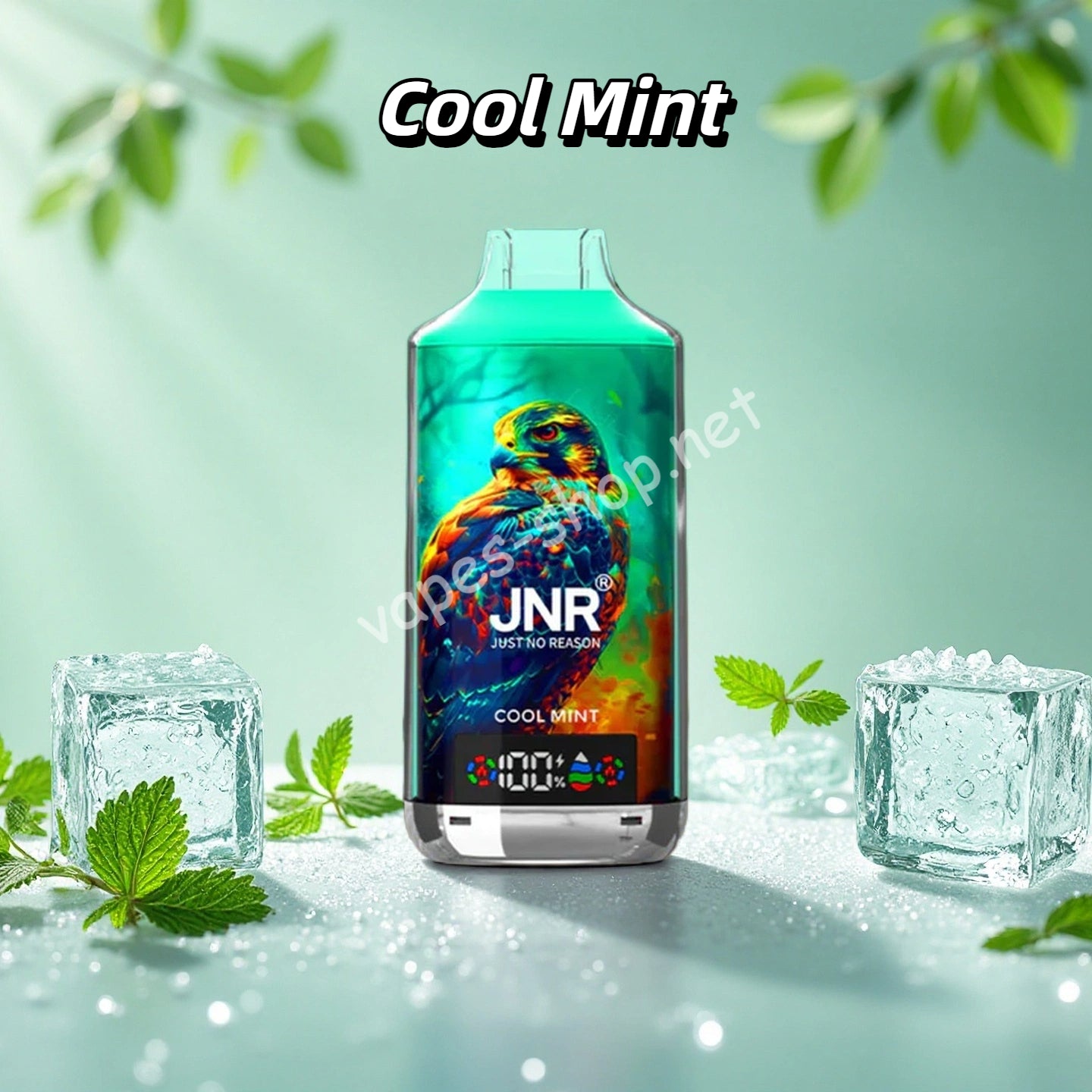 Cool Mint Gout - JNR 18K Prix Puff 18000 Bouffees Nicotine Cigarette lectronique Jetable Vapes-Shop Cool Mint Gout - JNR 18K Prix Puff 18000 Bouffees Nicotine Cigarette lectronique Jetable Vapes-Shop