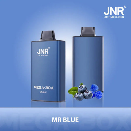 JNR Vape Jetable Puff 25K Taff - MR. Blue Saveur with Batterie Rechargeable