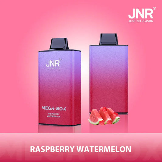JNR Mega Box Puff 25K Prix Raspberry Watermelon Gout Vape Jetables