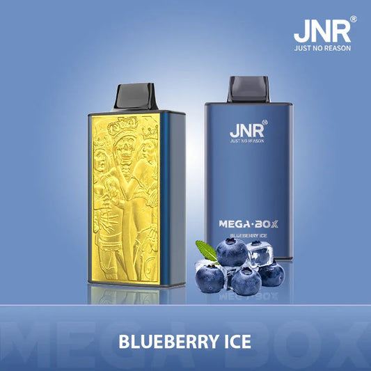Puff 25000 Taff Vape Jetable - Blueberry Ice Gout