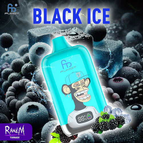 RandM 12k Vape Black Ice