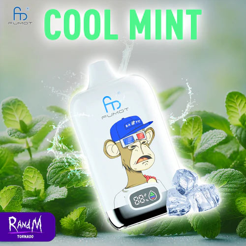 Randm Tornado Puff 12000 Taff Cigarette électronique Jetable - Cool Mint