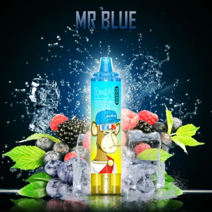 Randm 15000 Puffs Mr. Blue Saveur Cigarette électronique Jetbale with Nicotina