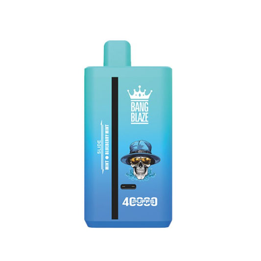 Mint & Blueberry Mint vape bang king 40K E-liquide 40 ml