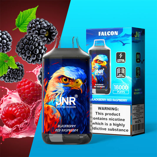 JNR Falcon 16 000 bouffées Vape Blackberry Red Raspberry