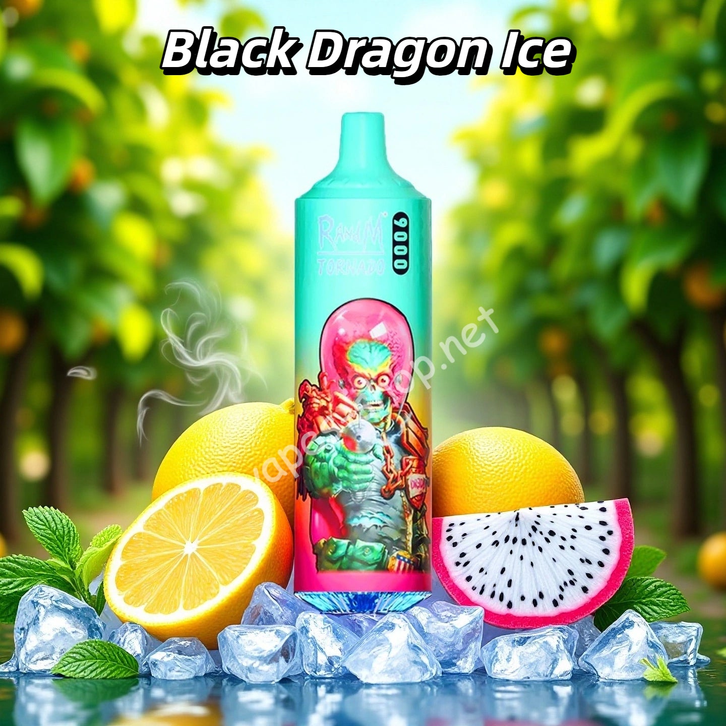 Black Dragon Ice - Puff Randm Tornado 9000 Bouffees Vape Jetable with Nicotine