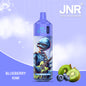 Blueberry Kiwi Puff JNR Vape 10K Bouffees