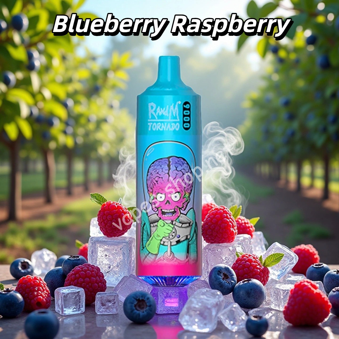 Blueberry Raspberry Gout de Puff 9000 Taff Nicotine Cigarette électronique Jetable