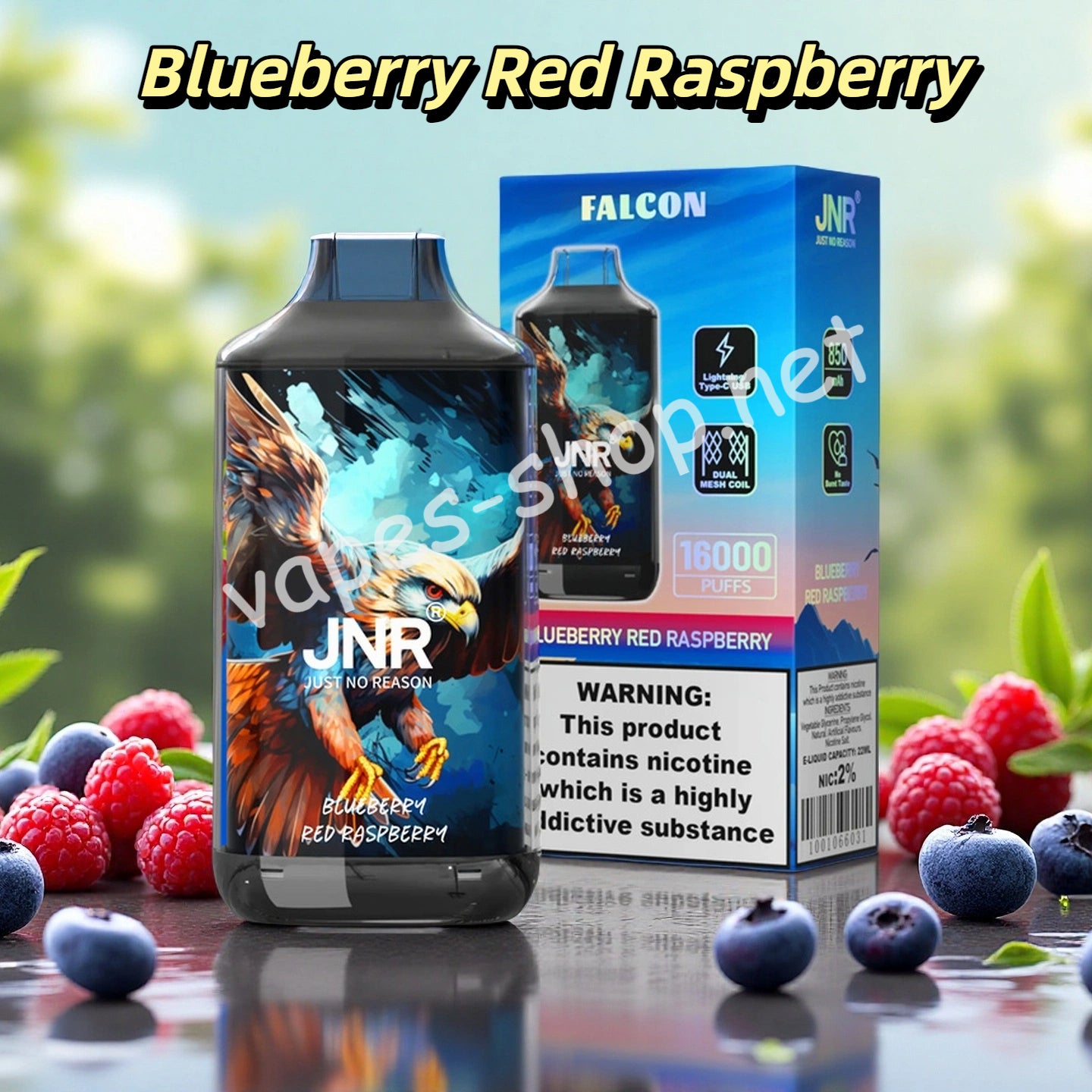 Blueberry Red Raspberry 16K JNR
