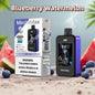 JNR Puff 40K Bouffees Blueberry Watermelon