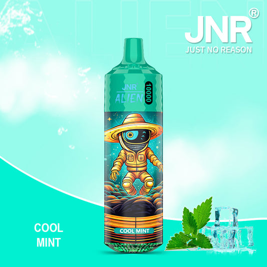 Puff JNR Vape 10K Bouffees Cool Mint Gout
