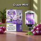 Grape Mint Puff 100K JNR Vape Jetable