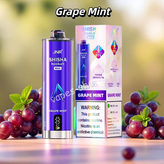 Grape Mint JNR Puff 22K Puffs Vape Jetable