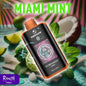 Fumot Tornado 25000 Puffs Miami Mint Saveur Touch Vape Jetable with Écran Couleur TFT