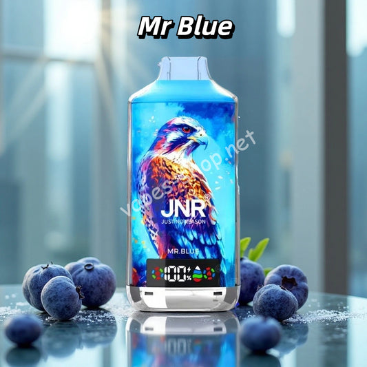 Puff JNR 18K Puffs 18000 Taff Cigarette électronique Jetable - Mr Blue