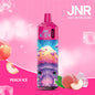 Peach Ice JNR Puff 10K Bouffees Vape Jetable
