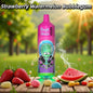 Strawberry Watermelon Bubblegum Puff 9000 Puffs Vape Jetable