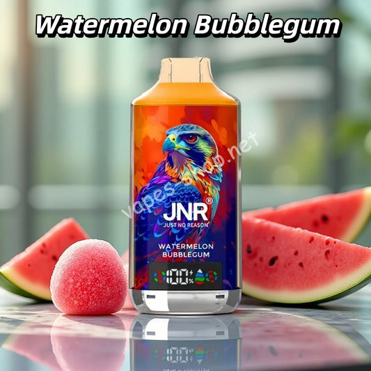Watermelon Bubblegum JNR 18K Puffs Vape