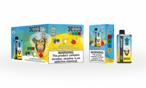 Blueberry Ice & Strawberry Banana - Bang King 30000 Puff Vape Jetable