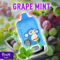 Tornado 12K Puffs Grape Mint Gout Vape Jetable with 2% Nicotine